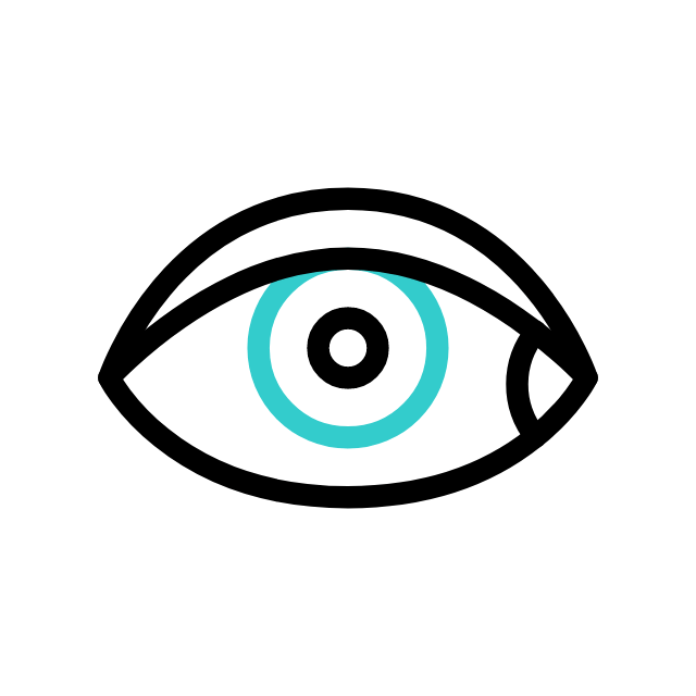 Vision Icon