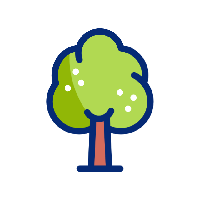 Premium Oak Material